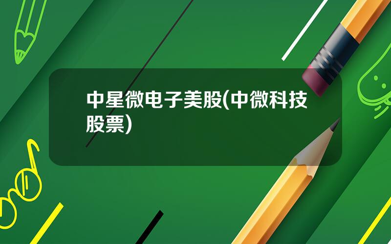 中星微电子美股(中微科技股票)