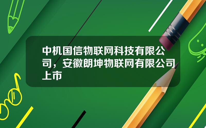 中机国信物联网科技有限公司，安徽朗坤物联网有限公司上市
