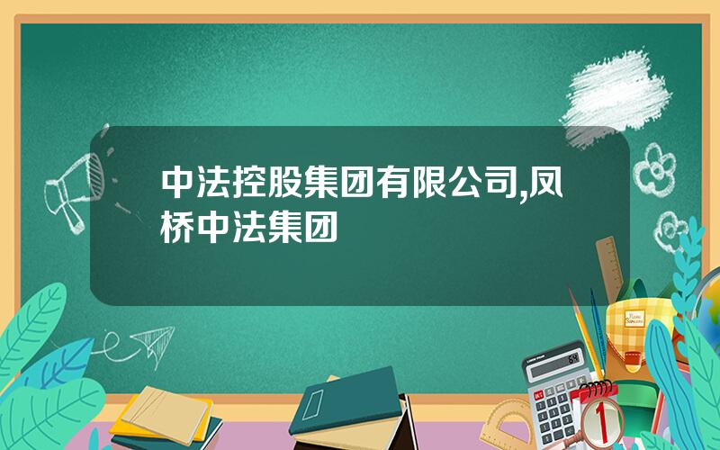 中法控股集团有限公司,凤桥中法集团