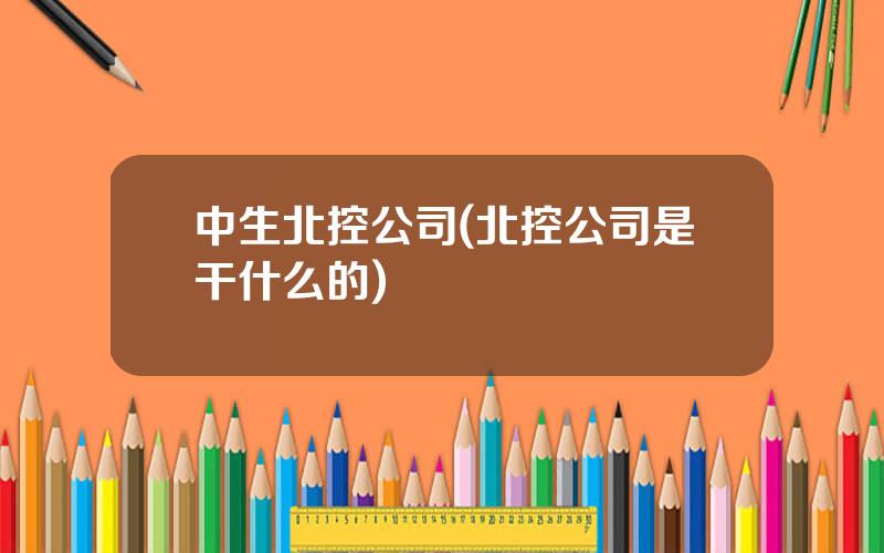 中生北控公司(北控公司是干什么的)