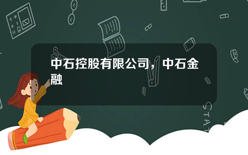 中石控股有限公司，中石金融