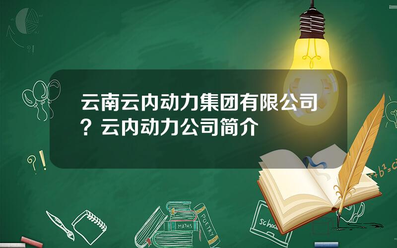 云南云内动力集团有限公司？云内动力公司简介