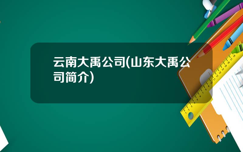 云南大禹公司(山东大禹公司简介)