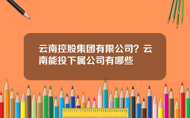 云南控股集团有限公司？云南能投下属公司有哪些