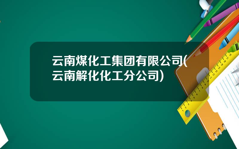 云南煤化工集团有限公司(云南解化化工分公司)