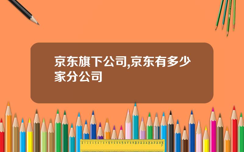 京东旗下公司,京东有多少家分公司