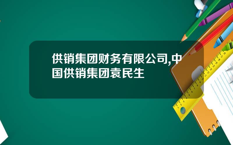 供销集团财务有限公司,中国供销集团袁民生