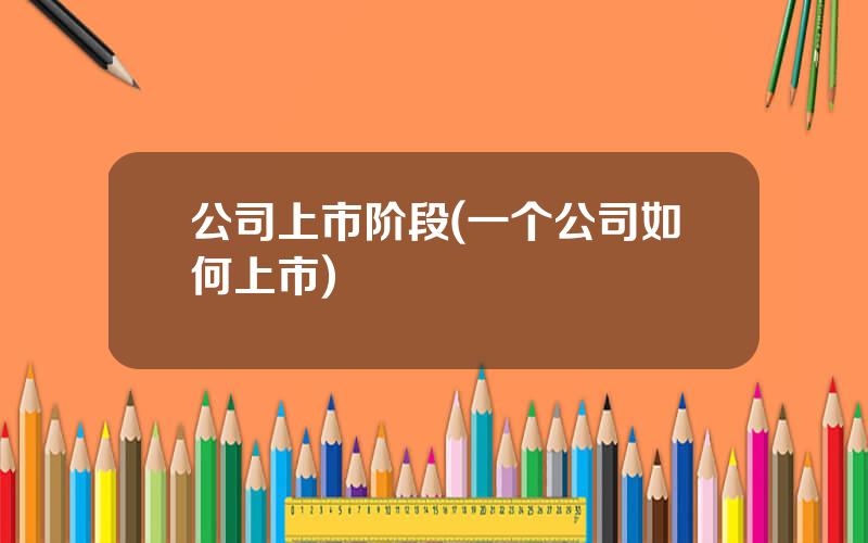 公司上市阶段(一个公司如何上市)