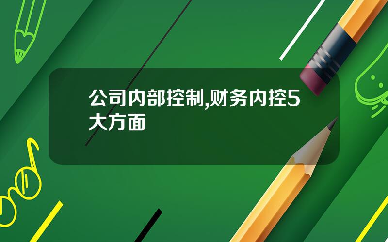 公司内部控制,财务内控5大方面