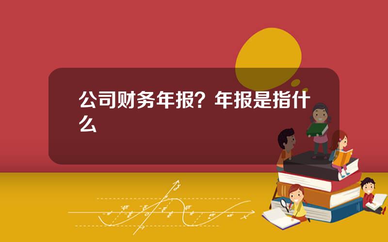 公司财务年报？年报是指什么