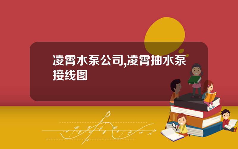 凌霄水泵公司,凌霄抽水泵接线图