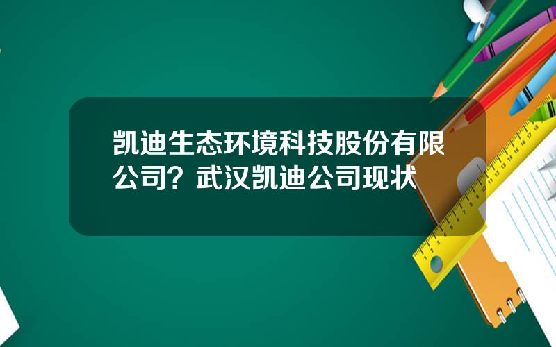 凯迪生态环境科技股份有限公司？武汉凯迪公司现状