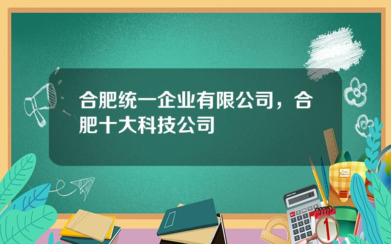 合肥统一企业有限公司，合肥十大科技公司