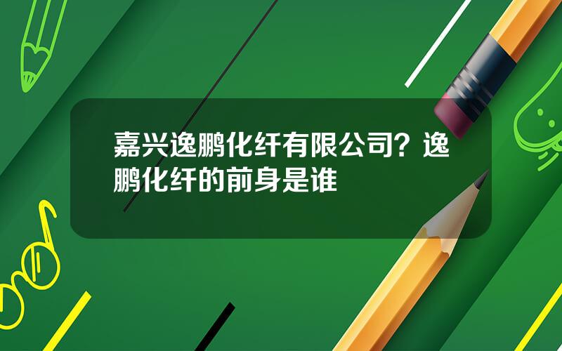 嘉兴逸鹏化纤有限公司？逸鹏化纤的前身是谁
