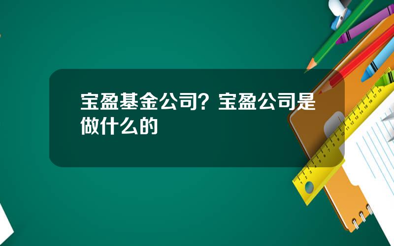 宝盈基金公司？宝盈公司是做什么的
