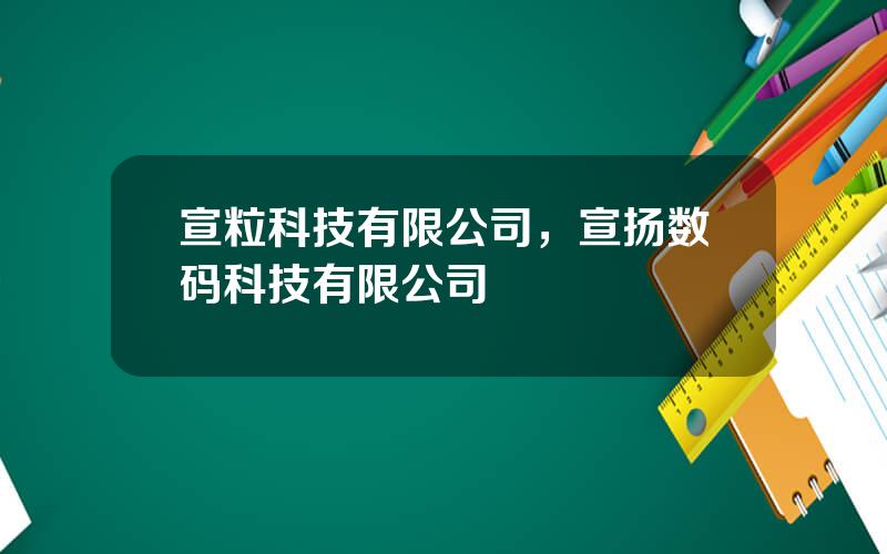 宣粒科技有限公司，宣扬数码科技有限公司