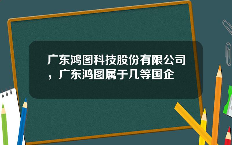 广东鸿图科技股份有限公司，广东鸿图属于几等国企