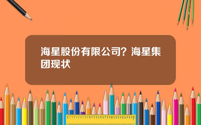 海星股份有限公司？海星集团现状