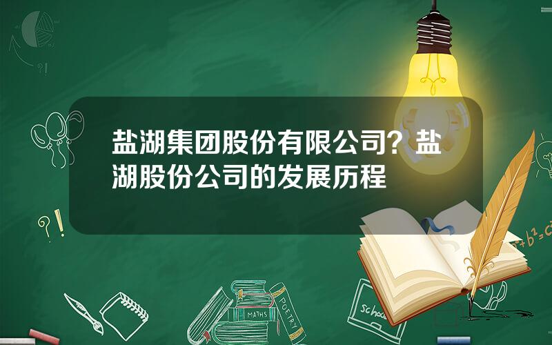 盐湖集团股份有限公司？盐湖股份公司的发展历程